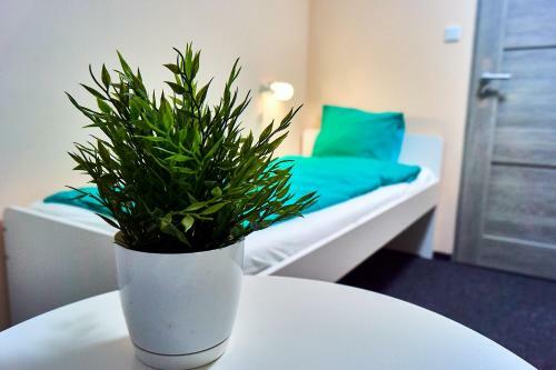 Albergue Apart Rooms City Centre