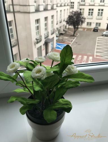 Apartamento Appartstudio Viktoria