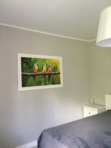 Apartament Na Urlop - Wis?a Kamienna
