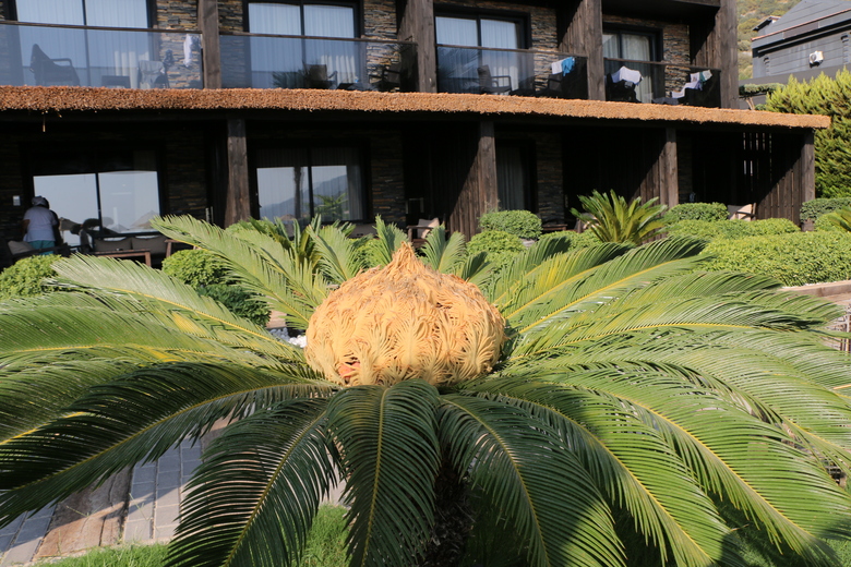 Hotel Manas Park Oludeniz