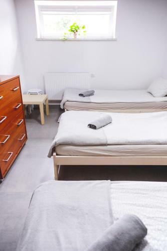 Hostel 55