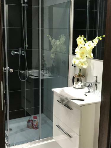 Property Apart - Ruska Centrum
