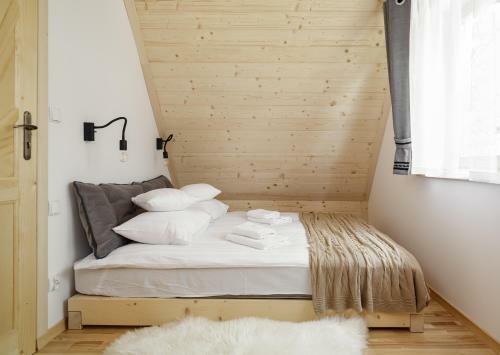 Tatra Wood House