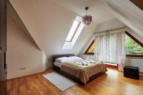 Apartament Alex