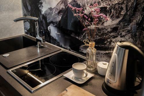 Apartamento Willa Kasztan