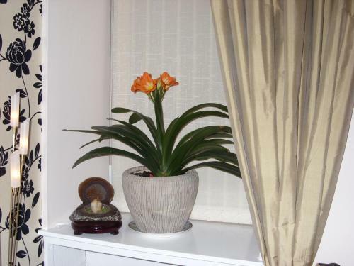 Hostal Alba Guest House