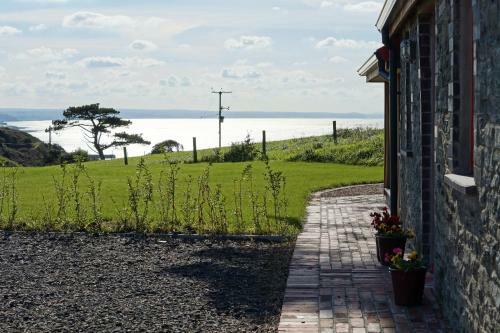 Cae Cefn
