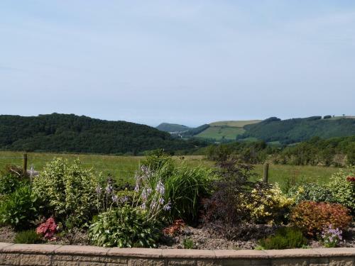 Blaenilar