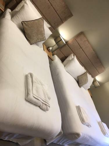 Apartamento Llys Bedw - Birch Court