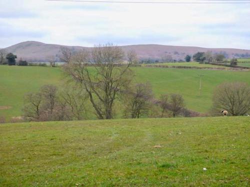 Hill Brow