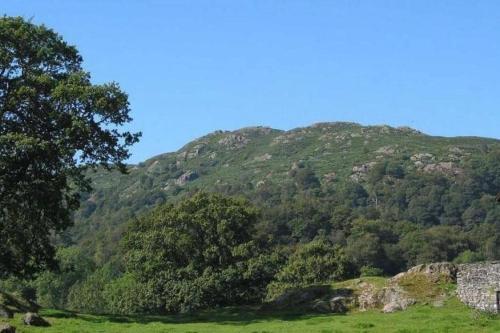 Birch Knoll
