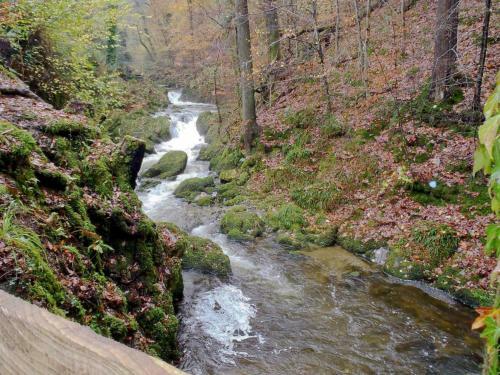 Hollybrook