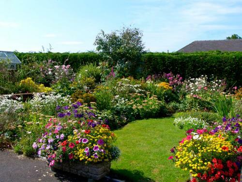 Lilac Cottage, Ashbourne