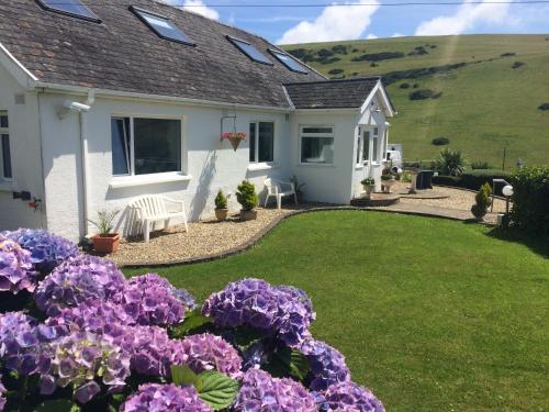 Hostal Surf View Guest House