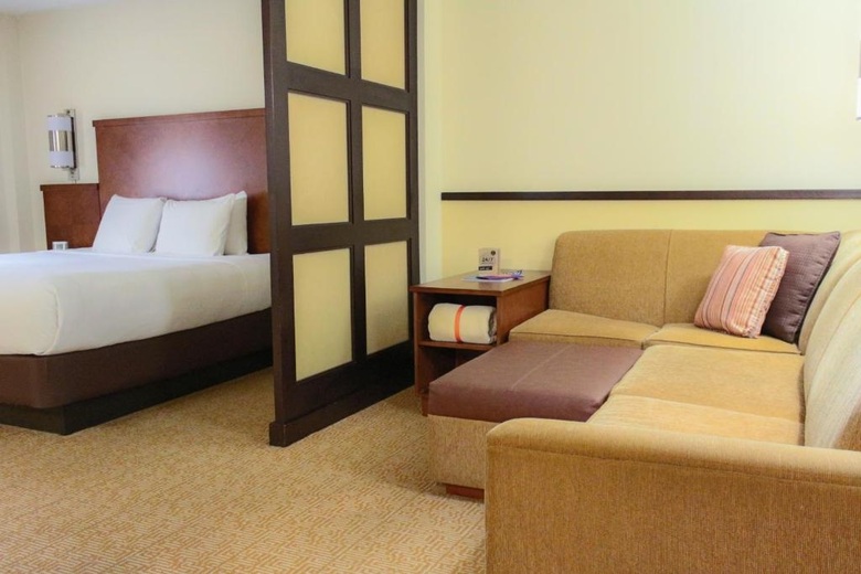 Hotel Hyatt Place Atlanta/downtown