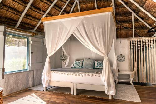 Hotel Playa Mambo Eco Cabanas
