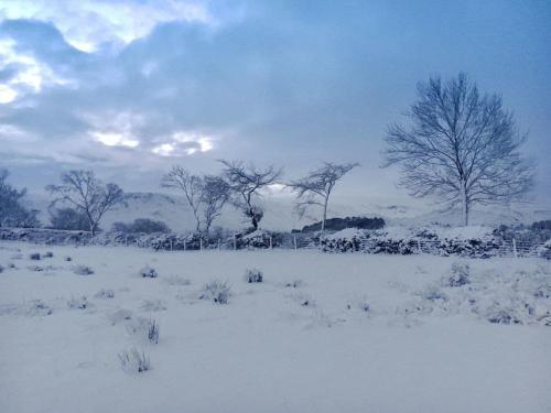 The Heft @ High House Farm