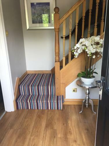 Bed & Breakfast Buttercup House