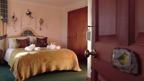 Bed & Breakfast Wagtail Lodge