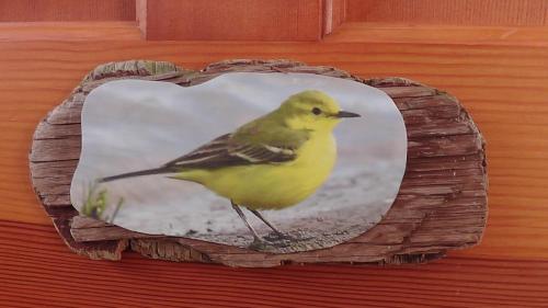 Bed & Breakfast Wagtail Lodge
