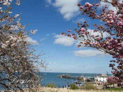 Swanage Driftwood, Swanage