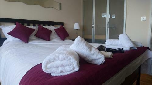 Executive Town Centre Apartment