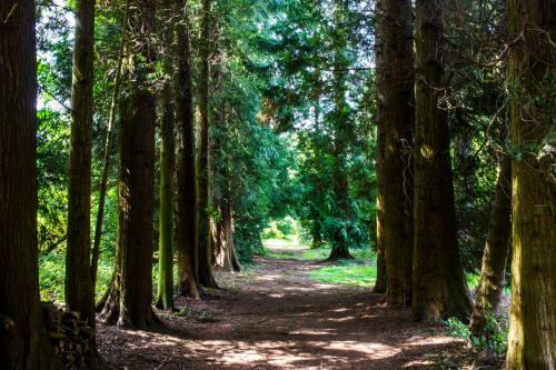 Hotel Hawkstone Hall & Gardens