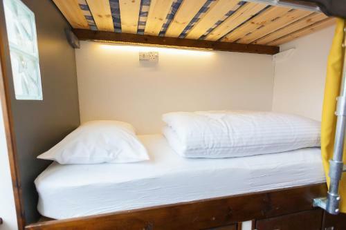Cohort Hostel