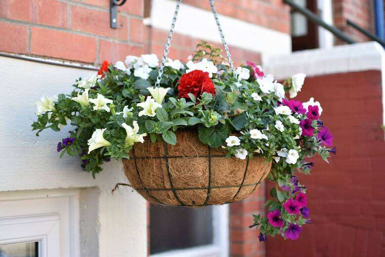 Bed & Breakfast Kenways Guest House