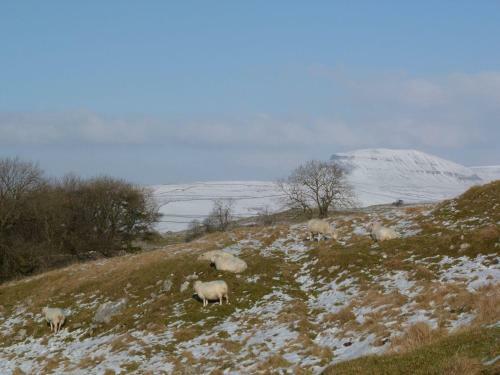 3 Overlands, Settle