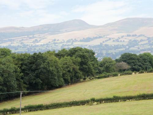 Y Bwthyn Tynycoed, Ruthin