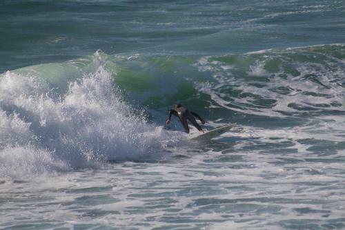 Oystercatcher Apartments