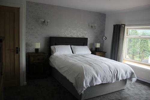 Hotel The New Lodge
