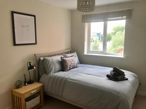 Quarters - William Lucy Way Apartment