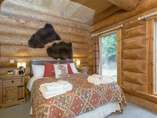 Mountain Bear Lodge