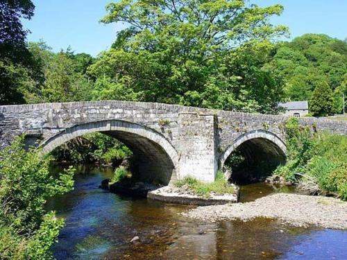 Y Cartws, Newport