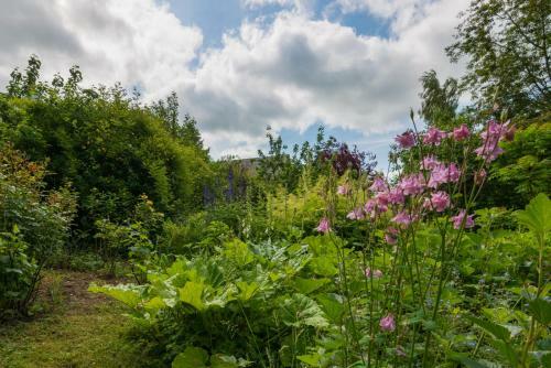 The Old Paper House
