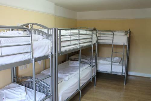 Hotel Dolphin Inn - The Lodge