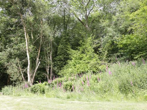 Woodpecker Cottage, Ludlow