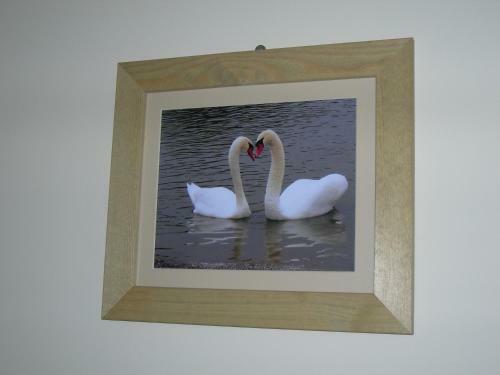 Posada The Swan