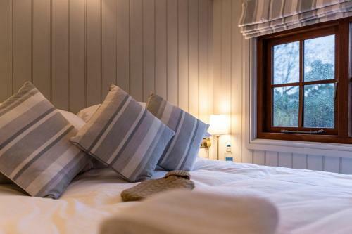 Bed & Breakfast Spot In The Woods