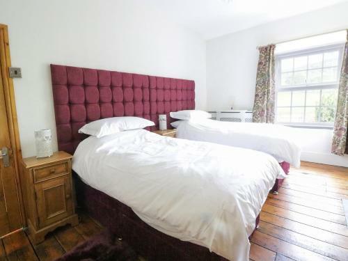 Daisy Cottage, Machynlleth