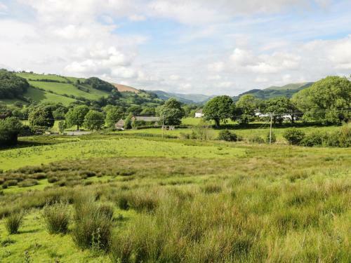 Daisy Cottage, Machynlleth
