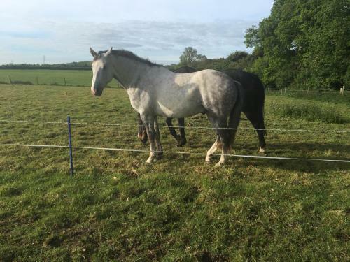 Bridleway Bed & Breakfast