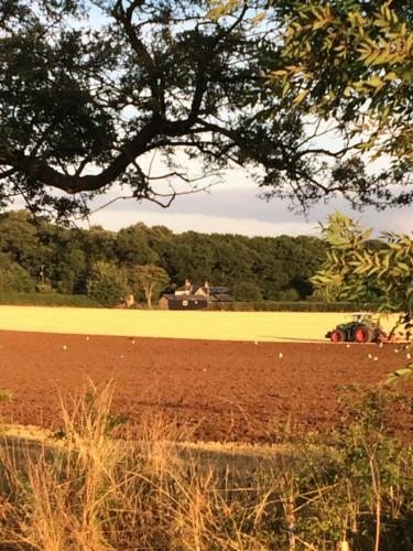 Bridleway Bed & Breakfast