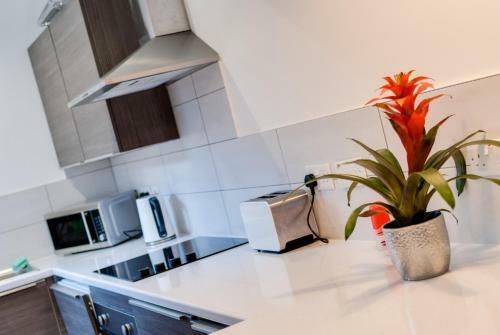 Apartamento Knight Street