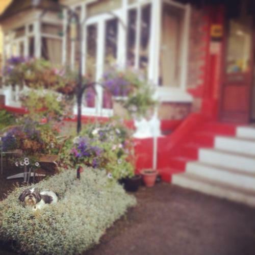 Bed & Breakfast Shrewsbury Lodge