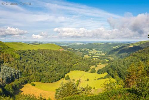 Blaenlli