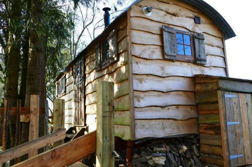 Llethrau Forest & Nature Retreats