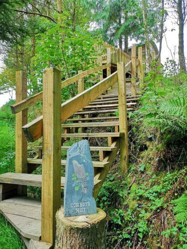 Llethrau Forest & Nature Retreats